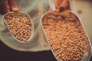 Gold Coast Roasters Coffee