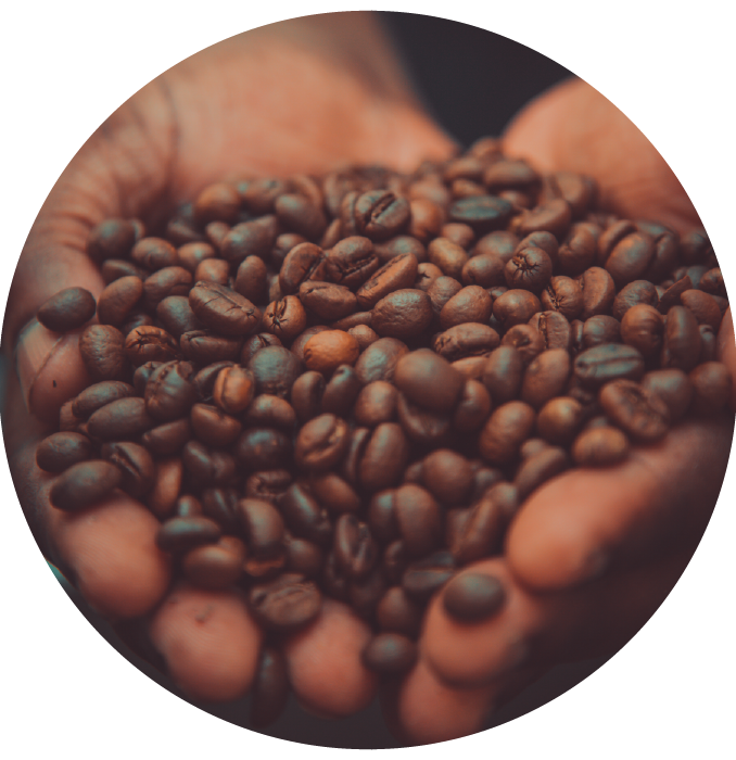 round-01 Gold Coast Roasters Coffee