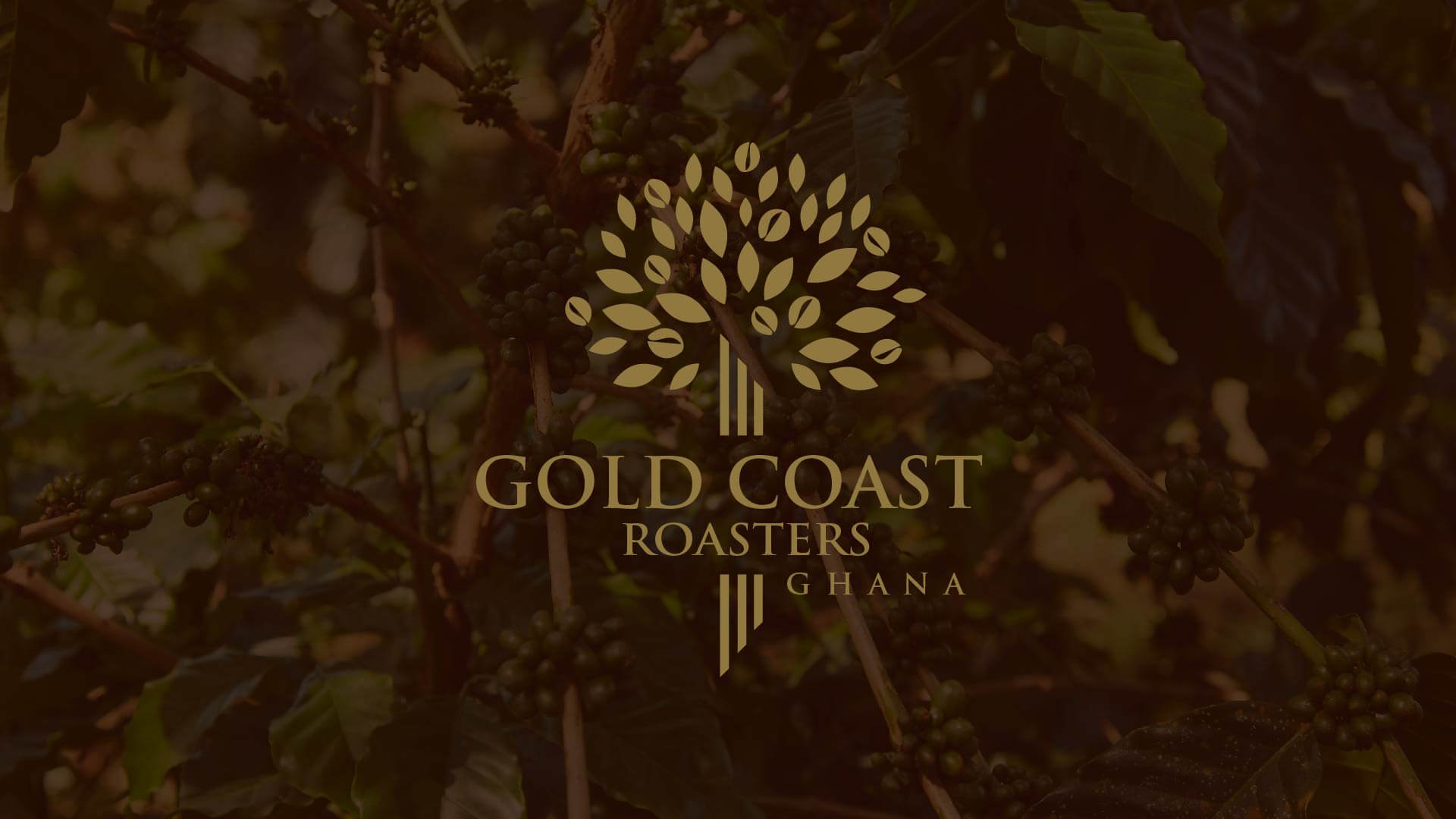 Gold Coast Roasters Coffee